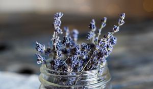 Preview wallpaper lavender, flowers, jar, dry