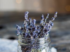 Preview wallpaper lavender, flowers, jar, dry