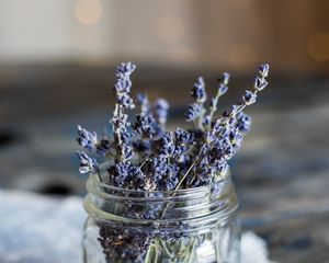Preview wallpaper lavender, flowers, jar, dry