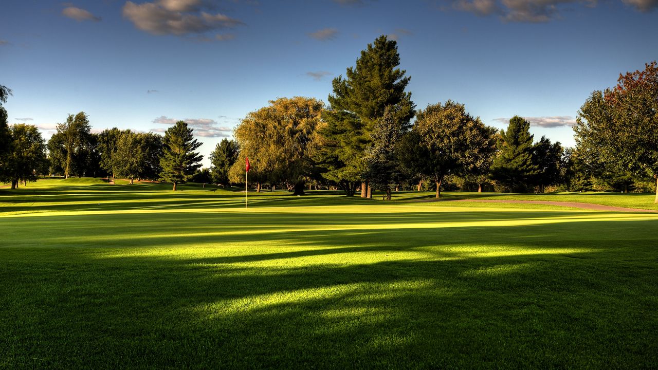 Wallpaper lawn, field, golf, trees