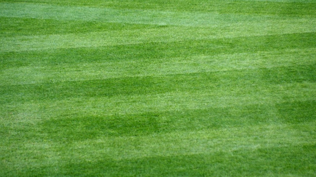 Wallpaper lawn, grass, field, stripes, green