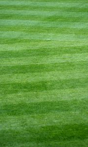 Preview wallpaper lawn, grass, field, stripes, green