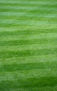 Preview wallpaper lawn, grass, field, stripes, green