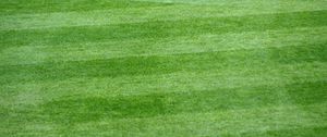 Preview wallpaper lawn, grass, field, stripes, green