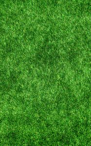 Preview wallpaper lawn, grass, green, thick, surface