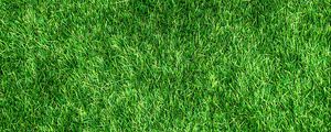 Preview wallpaper lawn, grass, green, thick, surface