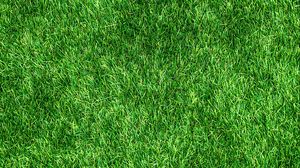 Preview wallpaper lawn, grass, green, thick, surface