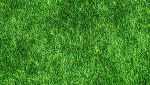 Preview wallpaper lawn, grass, green, thick, surface