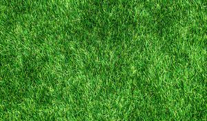 Preview wallpaper lawn, grass, green, thick, surface