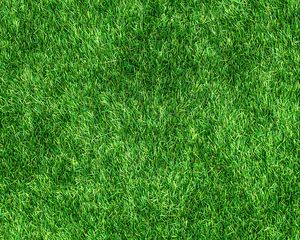 Preview wallpaper lawn, grass, green, thick, surface