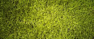 Preview wallpaper lawn, grass, greenery, texture, green