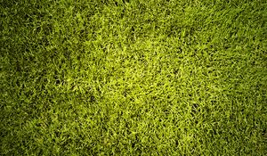 Preview wallpaper lawn, grass, greenery, texture, green