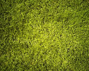 Preview wallpaper lawn, grass, greenery, texture, green