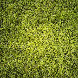 Preview wallpaper lawn, grass, greenery, texture, green