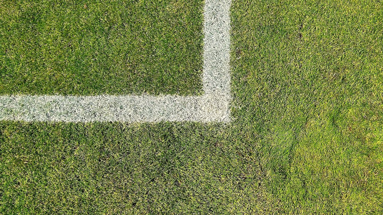 Wallpaper lawn, grass, marking, stripes