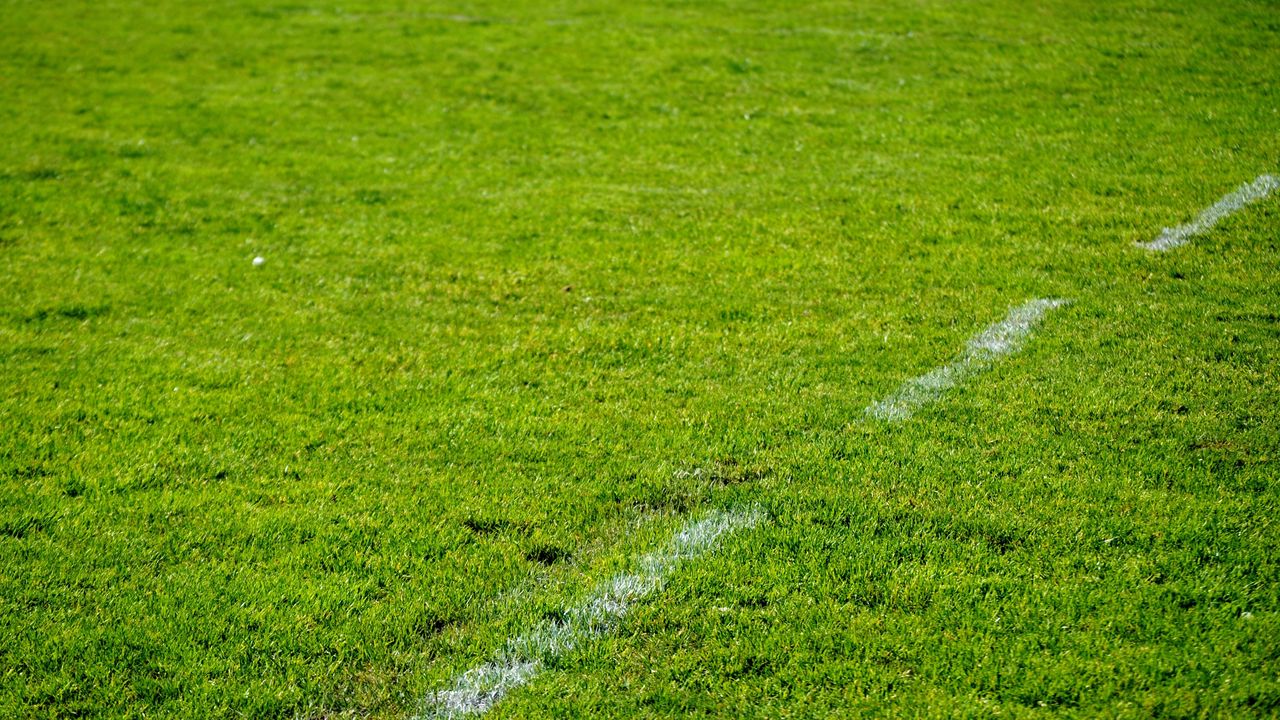 Wallpaper lawn, grass, marking, greenery