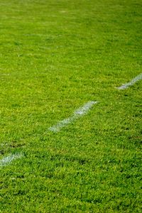 Preview wallpaper lawn, grass, marking, greenery