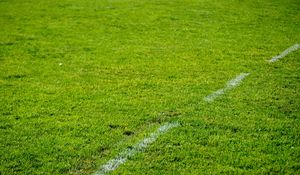 Preview wallpaper lawn, grass, marking, greenery