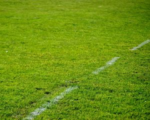 Preview wallpaper lawn, grass, marking, greenery