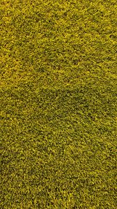 Preview wallpaper lawn, grass, texture, green