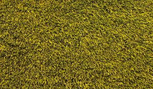 Preview wallpaper lawn, grass, texture, green