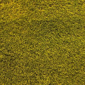 Preview wallpaper lawn, grass, texture, green
