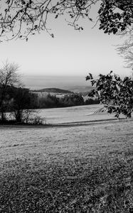 Preview wallpaper lawn, landscape, bw, hills, trees