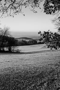 Preview wallpaper lawn, landscape, bw, hills, trees