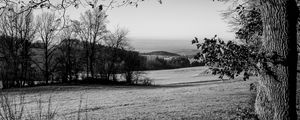 Preview wallpaper lawn, landscape, bw, hills, trees