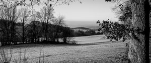 Preview wallpaper lawn, landscape, bw, hills, trees