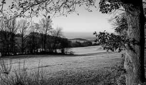 Preview wallpaper lawn, landscape, bw, hills, trees