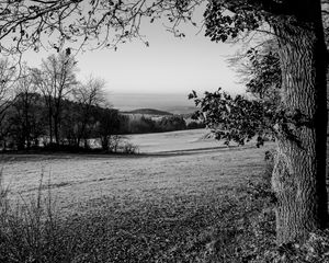 Preview wallpaper lawn, landscape, bw, hills, trees