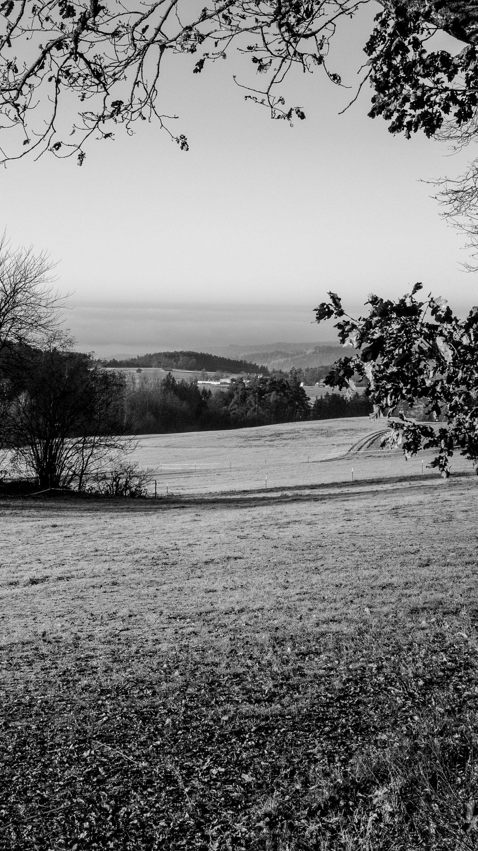 938x1668 Wallpaper lawn, landscape, bw, hills, trees