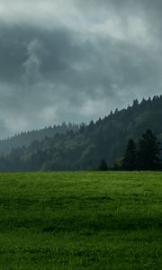 Preview wallpaper lawn, mountains, forest, fog, clouds