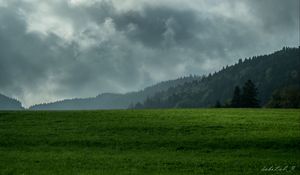 Preview wallpaper lawn, mountains, forest, fog, clouds