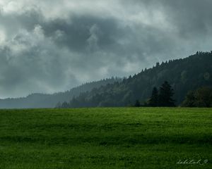 Preview wallpaper lawn, mountains, forest, fog, clouds