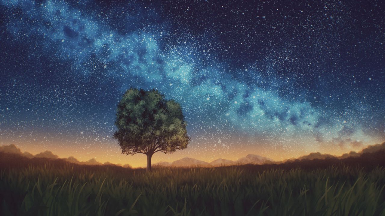 Wallpaper lawn, tree, night, starry sky, dark