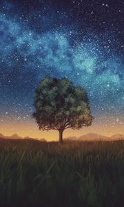 Preview wallpaper lawn, tree, night, starry sky, dark