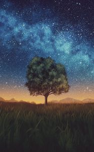 Preview wallpaper lawn, tree, night, starry sky, dark