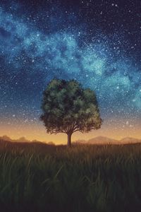 Preview wallpaper lawn, tree, night, starry sky, dark