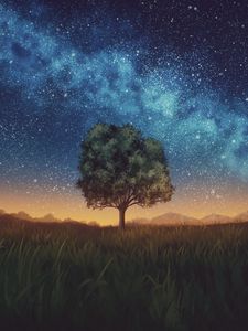 Preview wallpaper lawn, tree, night, starry sky, dark