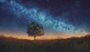 Preview wallpaper lawn, tree, night, starry sky, dark