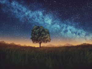 Preview wallpaper lawn, tree, night, starry sky, dark