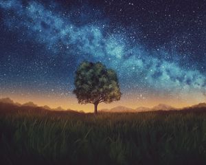 Preview wallpaper lawn, tree, night, starry sky, dark