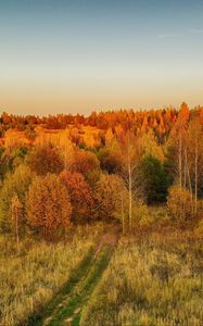 Preview wallpaper lawn, trees, autumn, landscape, aerial view