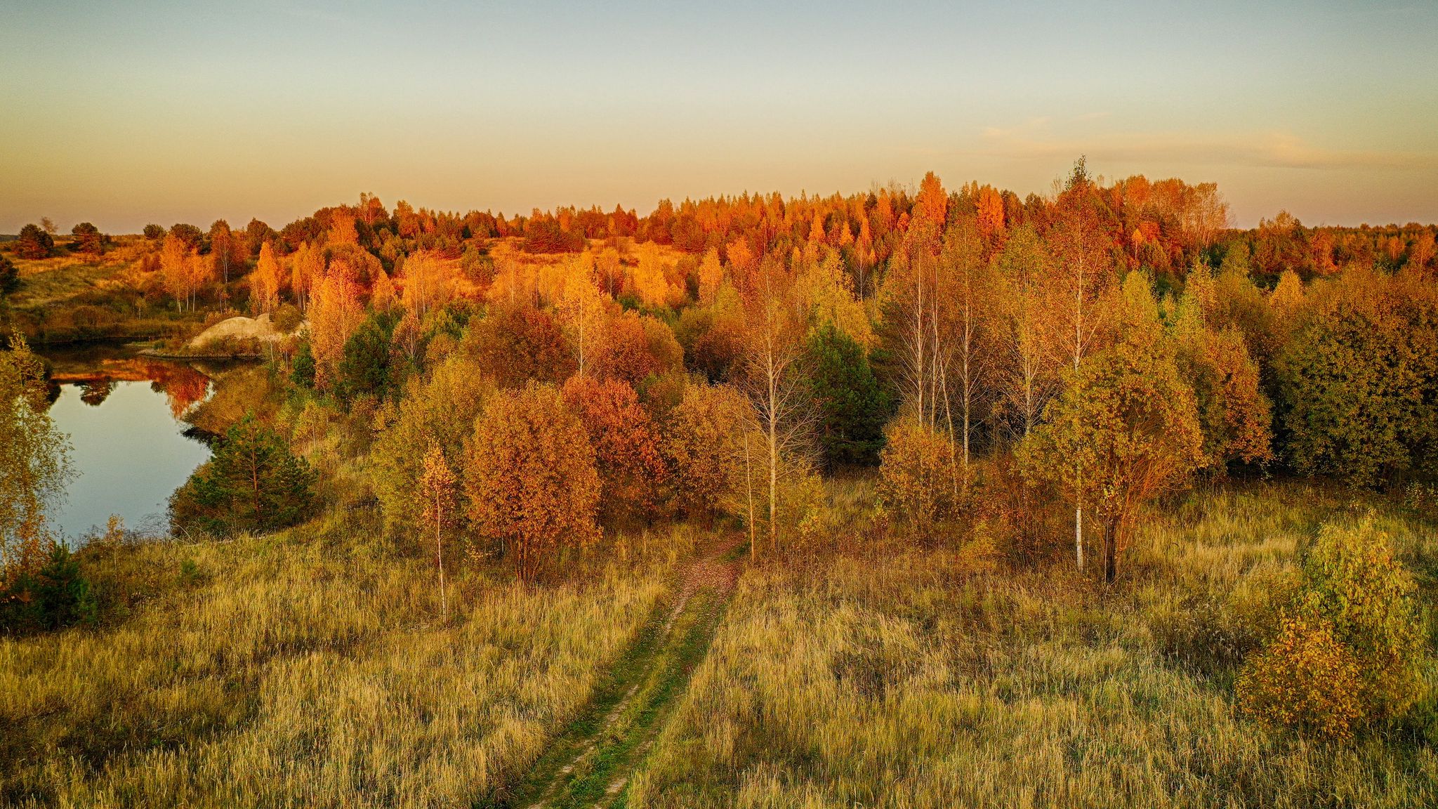 Download Wallpaper 2048x1152 Lawn Trees Autumn Landscape Aerial 