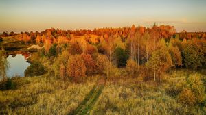 Preview wallpaper lawn, trees, autumn, landscape, aerial view