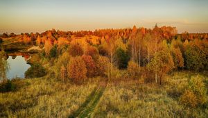 Preview wallpaper lawn, trees, autumn, landscape, aerial view