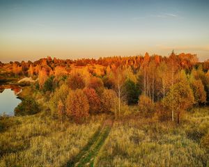 Preview wallpaper lawn, trees, autumn, landscape, aerial view