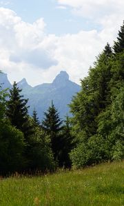 Preview wallpaper lawn, trees, mountain, grass, nature